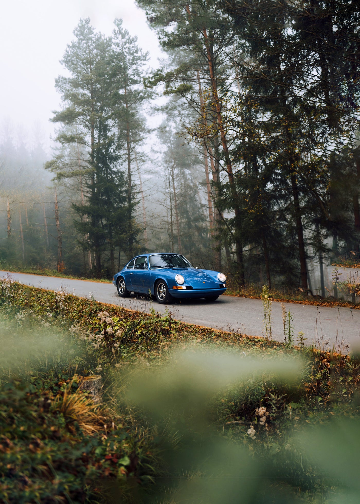 Car Forest