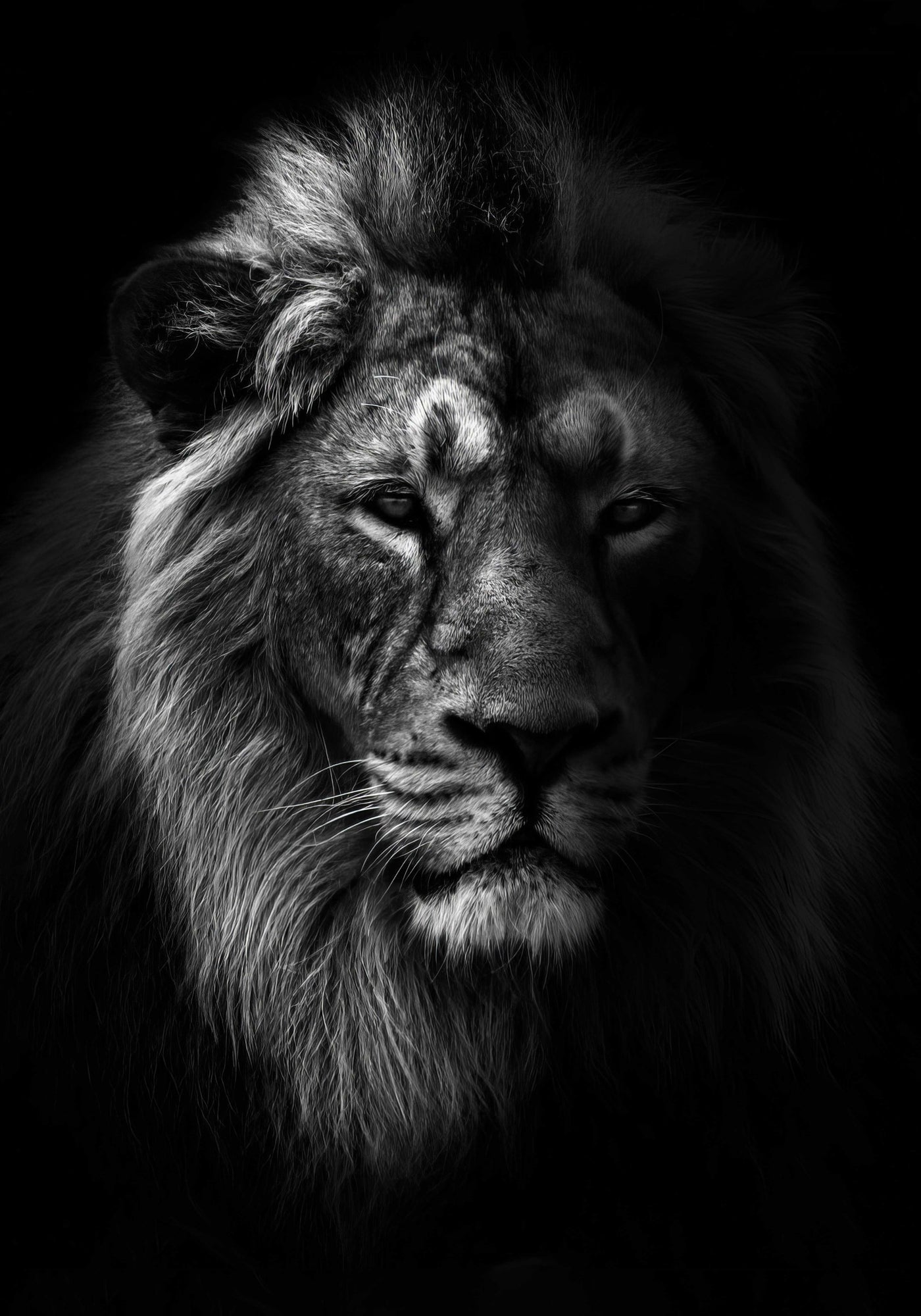 Le Lion King